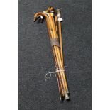 A collection of walking sticks including horn and antique ivory mounted items together with two