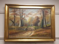 Continental School : Woodland, oil on canvas,