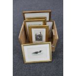 A box of eight framed pictures depicting birds and fish