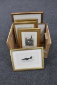 A box of eight framed pictures depicting birds and fish