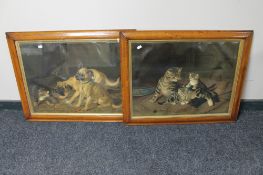 A pair of oak framed Horatio H Coulder chromo-lithographic prints depicting puppies with a cat,