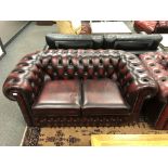 A Chesterfield style two seater oxblood settee,