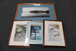 Two framed Stephen Townsend limited edition prints depicting a woodpecker and a robin,