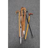 A bag of a collection of assorted walking sticks together with a litter picker