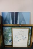 A framed Van Gogh print,