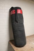 A Locus punch bag