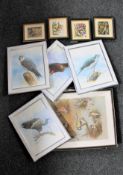 A collection of ornithological prints