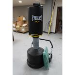 An Everlast punch bag on stand with gloves together with an ab roller and a professional