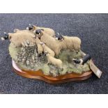 A Border Fine Arts figure by Ray Ayres of a sheep dog herding sheep, on plinth,