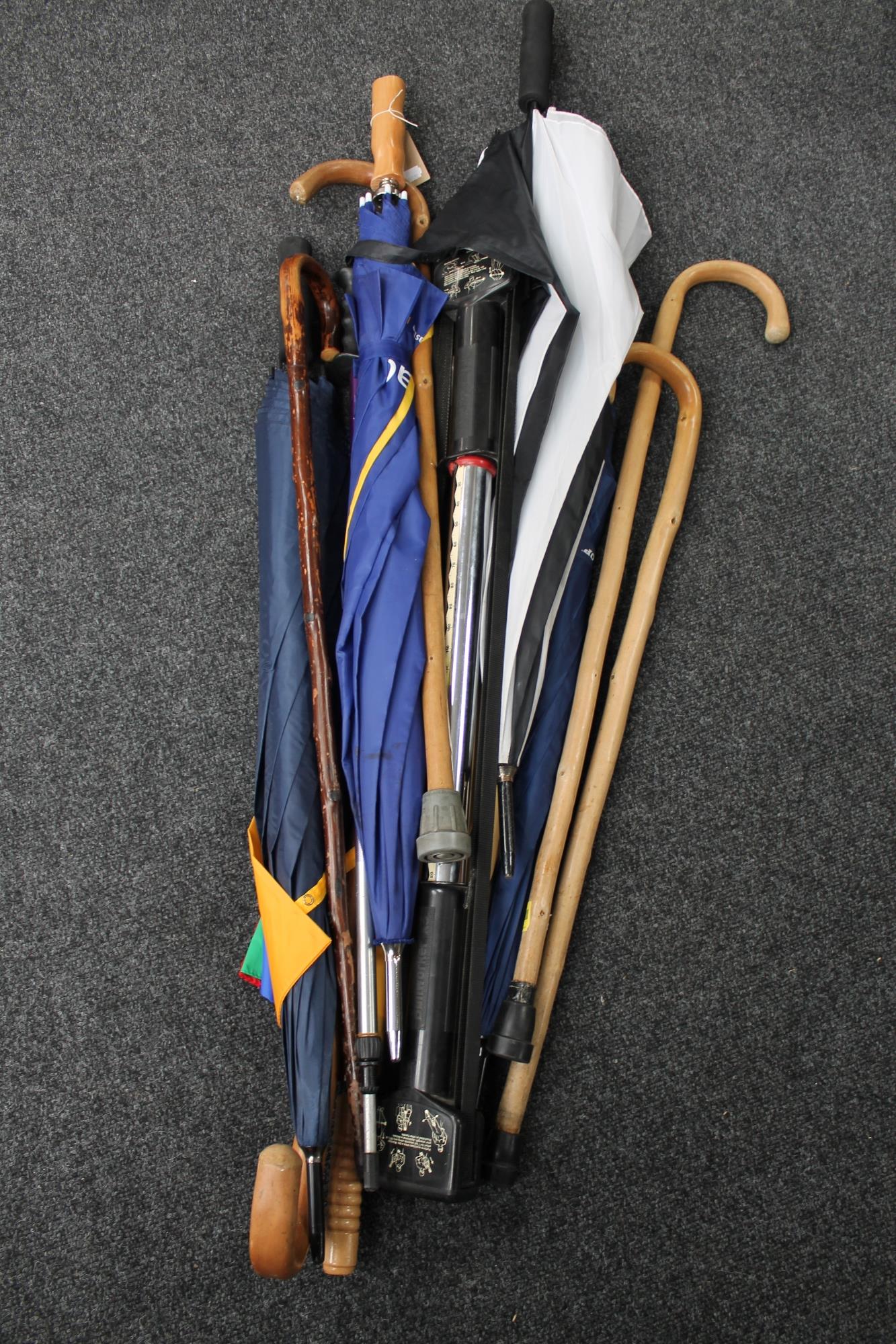 A large bundle of walking sticks,