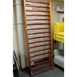 A gymnasium wall ladder