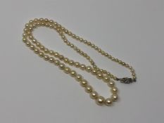 A pearl necklace with gold and diamond clasp