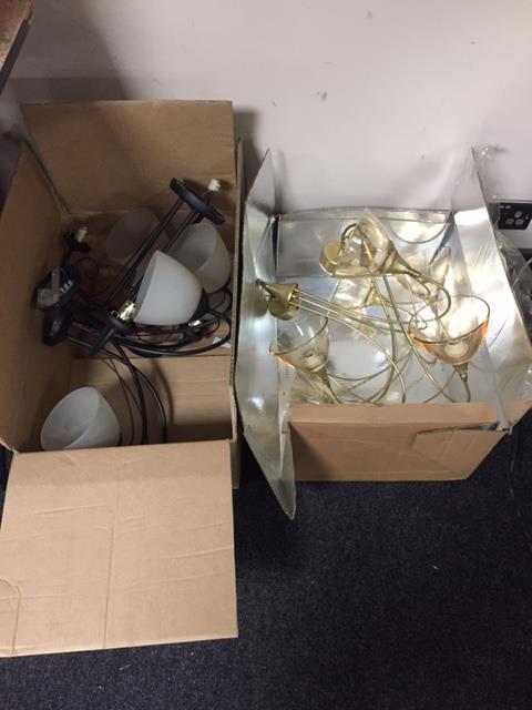 Two boxes of light fittings