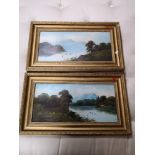 Twentieth century school - a pair of oil paintings on boards depicting woodland landscapes