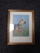 A framed Peter Hogarth signed limited edition print - Lakeland Terrier,