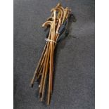 A bundle of 20th century walking sticks and parasols