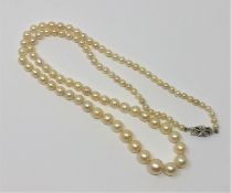 A pearl necklace with gold and diamond clasp