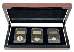 The London Mint Office - 2015 Remembrance day gold sovereign collection,