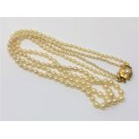 A 20 inch double strand of pearls on 14ct gold clasp