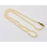 A 20 inch strand of pearls of 18ct gold clasp