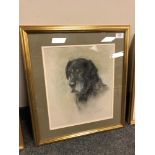 June Ryan : Head Study of a Black Labrador : pastel, signed, 34 cm x 29 cm, framed.