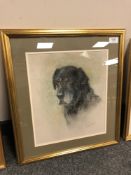 June Ryan : Head Study of a Black Labrador : pastel, signed, 34 cm x 29 cm, framed.