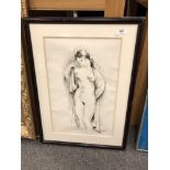 R. Avit : Nude study, pen and ink, 31 cm x 48 cm, framed.