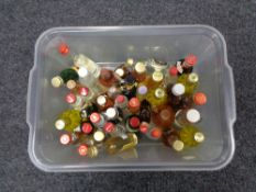 A box of assorted alcohol miniatures