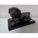 A bronze figure of a Pekingese on black marble plinth