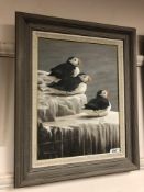 John M Threlfall : Puffins, oil on canvas, signed, 29 cm x 40 cm.