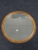 A circular decorative gilt framed bevelled mirror