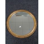 A circular decorative gilt framed bevelled mirror