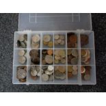 A plastic case of pre decimal British and foreign coins