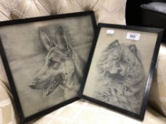 Two framed pencil sketches of dogs initialled A.G.D.