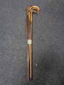 A collection of three wooden walking sticks together with a gun cleaning rod and tribal throwing