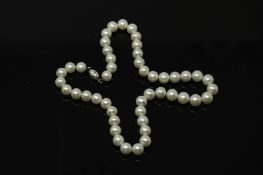 A cultured pearl necklace with sterling silver clasp, length 42 cm.