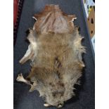 Two animal pelts of deer and boar