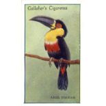 GALLAHER, Zoo Tropical Birds 1st & 2nd, complete, VG to EX, 100