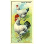 C.W.S., Poultry, complete, EX, 48