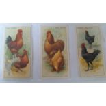 C.W.S., Poultry, complete, some uneven trim, G to VG, 48
