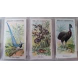 WILLS, Animals & Birds, descriptive, missing Kangaroo & Lyre Bird, G to VG, 48