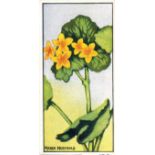 COWANS, Different Wild Flowers of Canada, extra-large, EX, 23