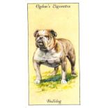 OGDENS, Dogs, complete, some a.c.m., VG to EX, 50