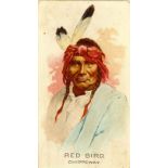ALLEN & GINTER, Celebrated American Indian Chiefs, corner knocks etc., FR to G, 5