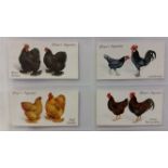 PLAYERS, selection, inc. complete (7), inc. Poultry, Aviary & cage Birds, Shakespeare, Aircraft of