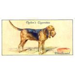 OGDENS, Dogs, missing No. 1, EX, 50