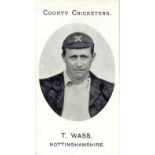 TADDY, County Cricketers, Wass (Nottinghamshire), Imperial back, VG