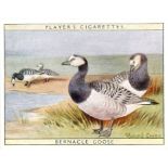 PLAYERS, Game Birds & Wild Fowl, complete (2), standard & large, VG to EX, 75