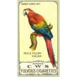 C.W.S., Parrots, No. 2, EX