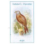 GALLAHER, British Birds by George Rankin, complete, G to VG, 100